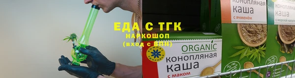 СК Аркадак