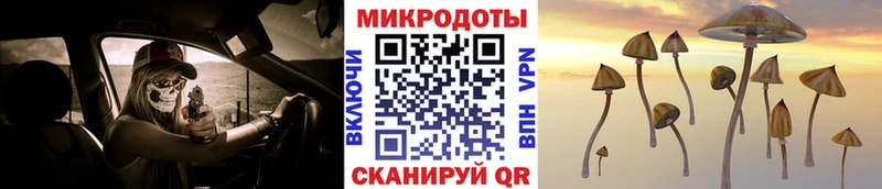 Псилоцибиновые грибы Psilocybe  купить   Новоузенск 