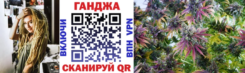 shop формула  даркнет сайт  Новоузенск  Бошки марихуана OG Kush 